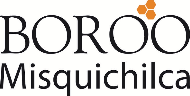Logo Boroo